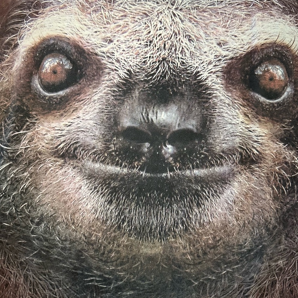 The Mountain Sloth Men’s Graphic T Shirt Sz XL EUC - Picture 8 of 8